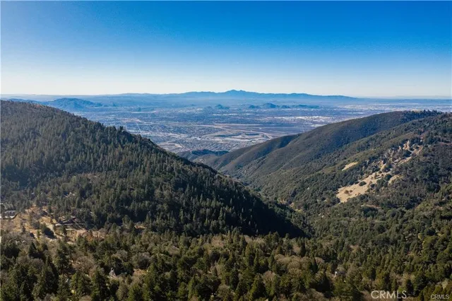 a view of a dry yard