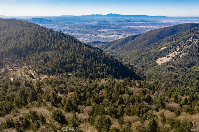 a view of a dry yard with trees