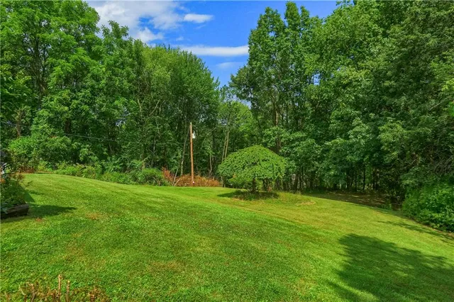 a view of a grassy field with an trees