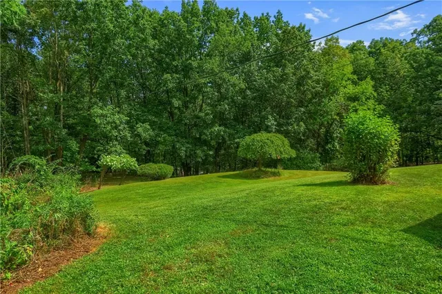 a view of a grassy field with trees