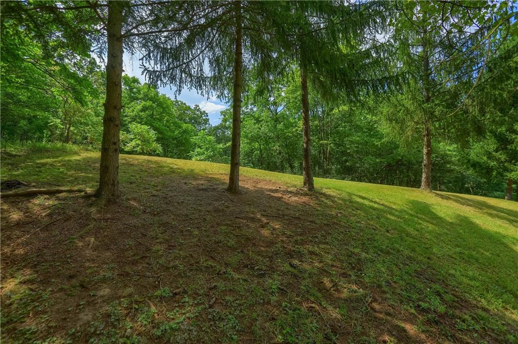 9650 Goehring Road Cranberry Township, PA 16066 - Photo 42 of 47 a view of a yard with a tree