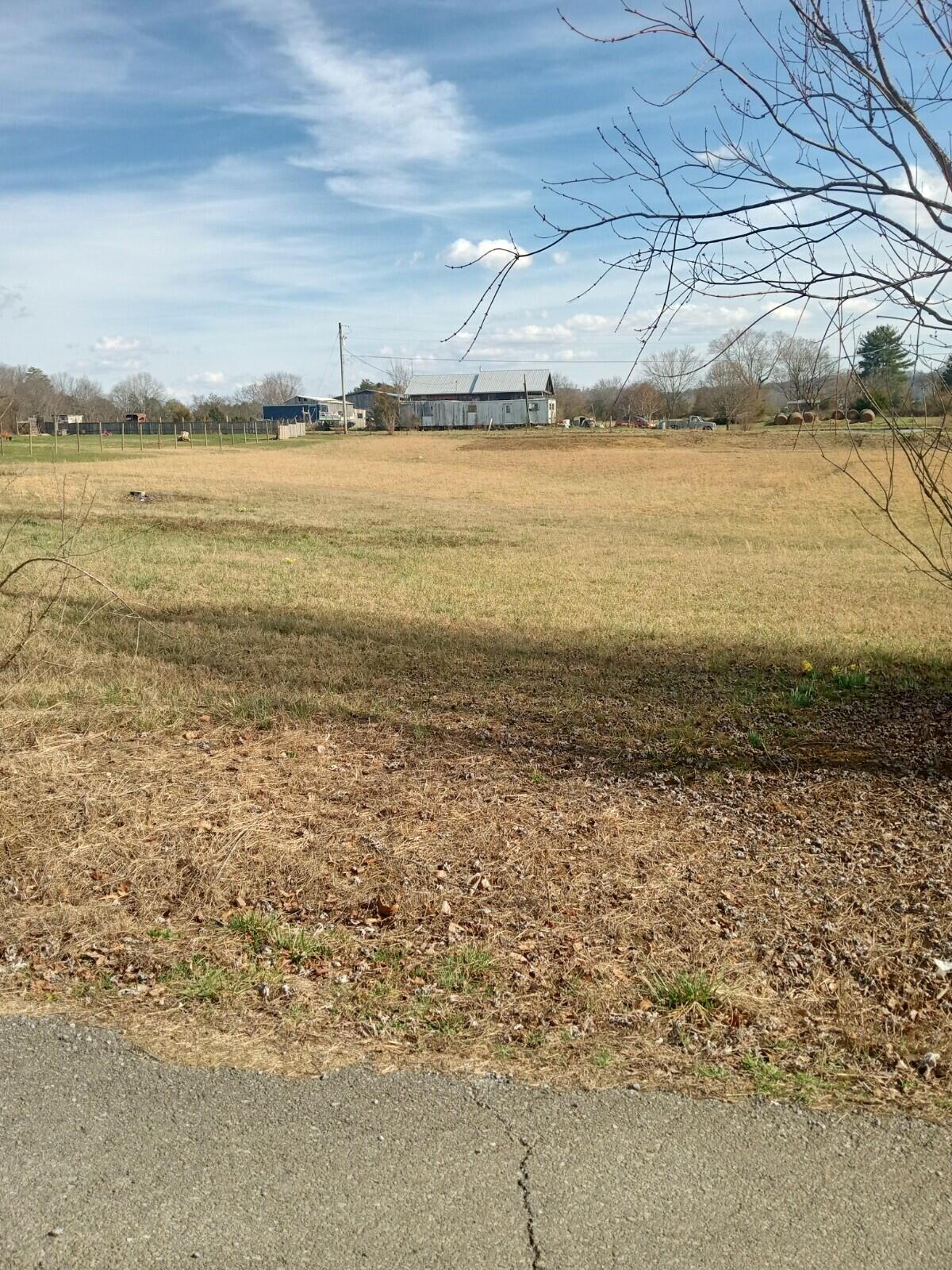 0 Wisecarver Road Mosheim, TN 37818 - Photo 3 of 5 wisecarver 3