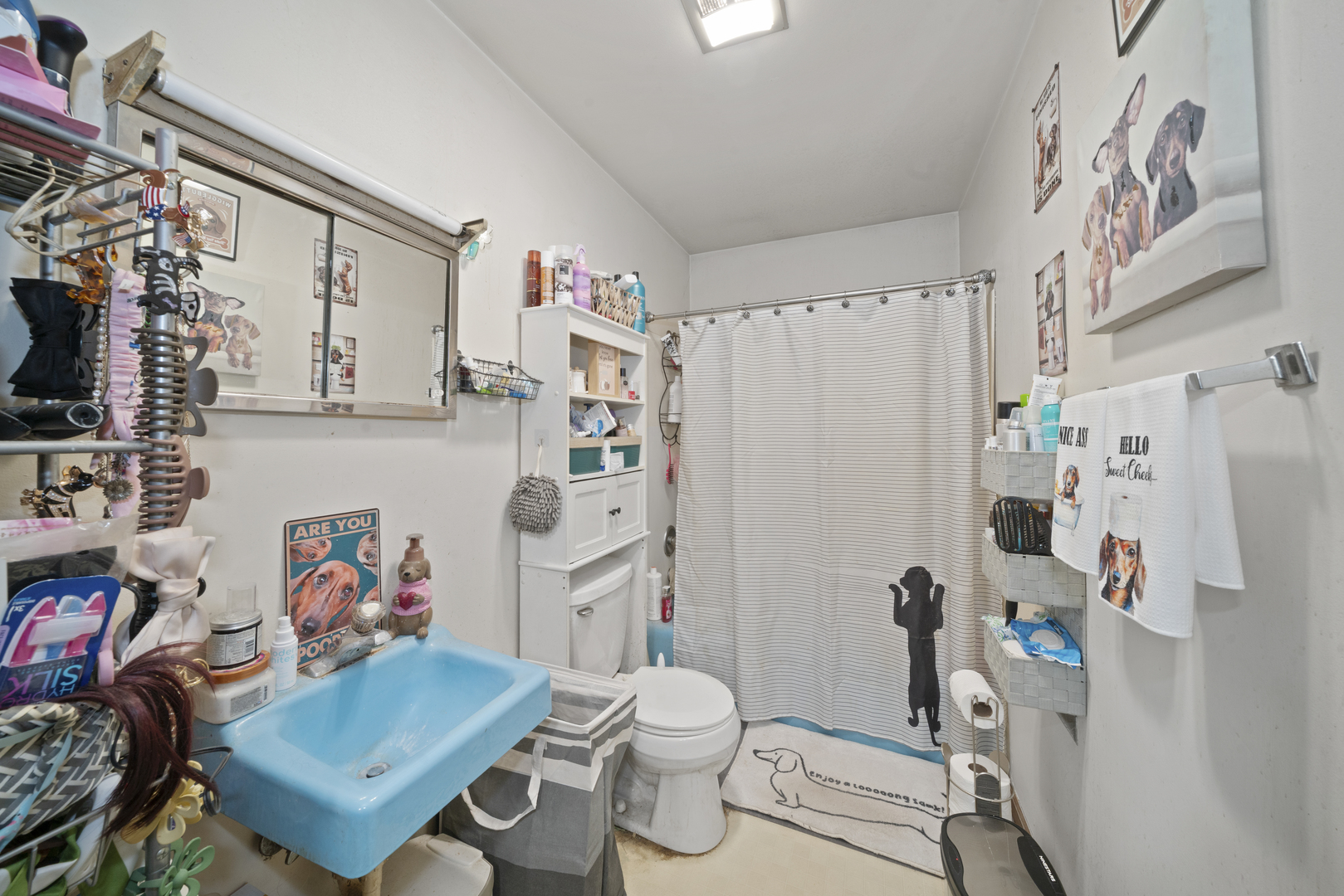 1620 Suydam Road Sandwich, IL 60548 - Photo 10 of 39