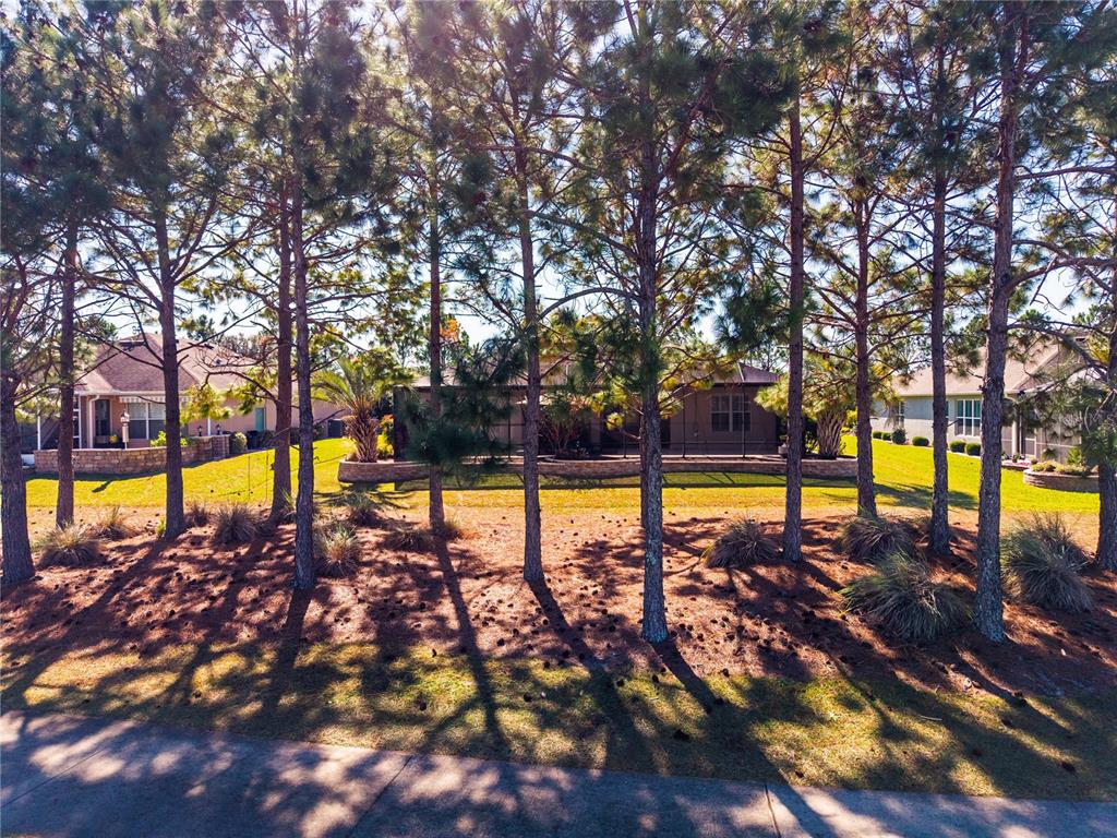 7527 Southwest 97th Terrace Road Ocala, FL 34481 - Photo 83 of 85 a view of swimming pool with an outdoor space and seating area