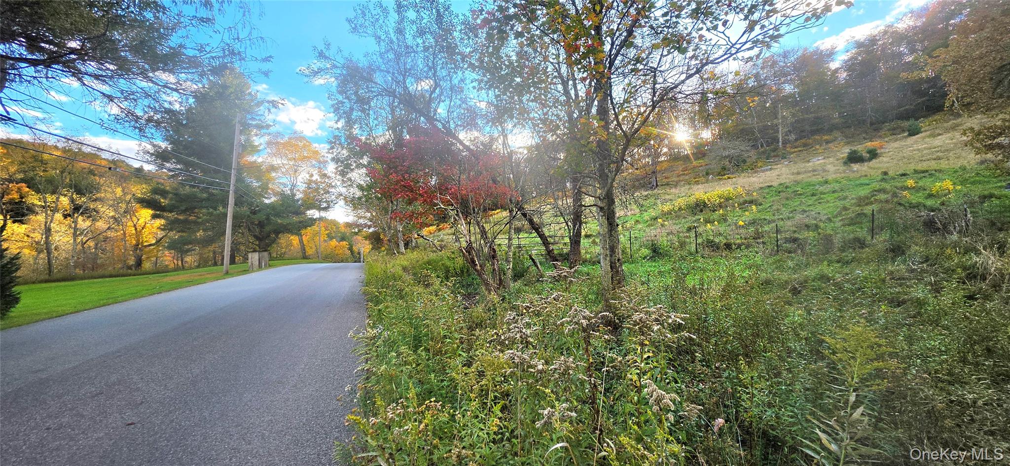 55 Lilly Pond Road Parksville, NY 12768 - Photo 12 of 21 Gallery Image 12