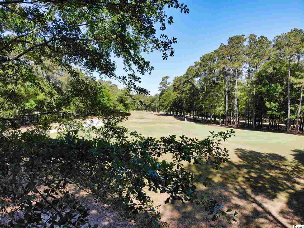 4554 Firethorne Drive Murrells Inlet, SC 29576 - Photo 31 of 39 Gallery Image 31
