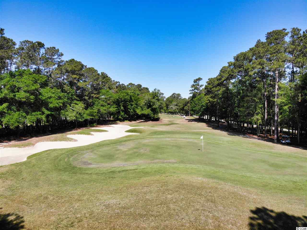 4554 Firethorne Drive Murrells Inlet, SC 29576 - Photo 32 of 39 Gallery Image 32