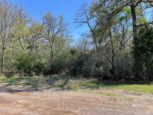 $20,000 | Lot 50 County Road 750, Thornton, TX 76687