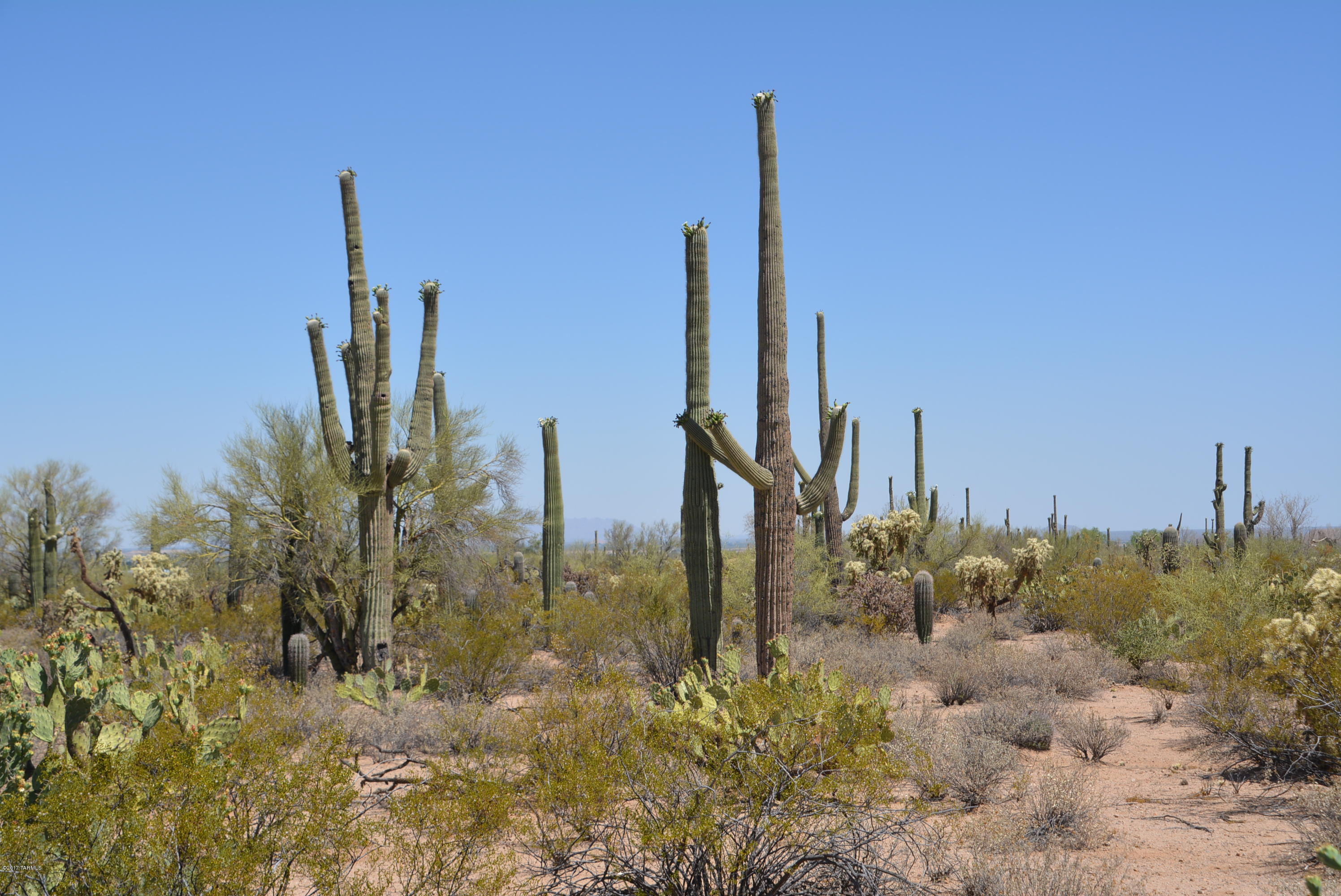 0 West Rudasill Road, Unit EAST Tucson, AZ 85743 - Photo 1 of 13