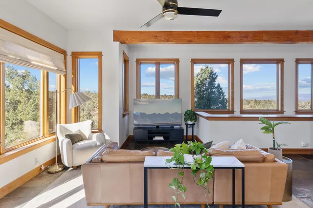a living room with furniture and a potted plant
