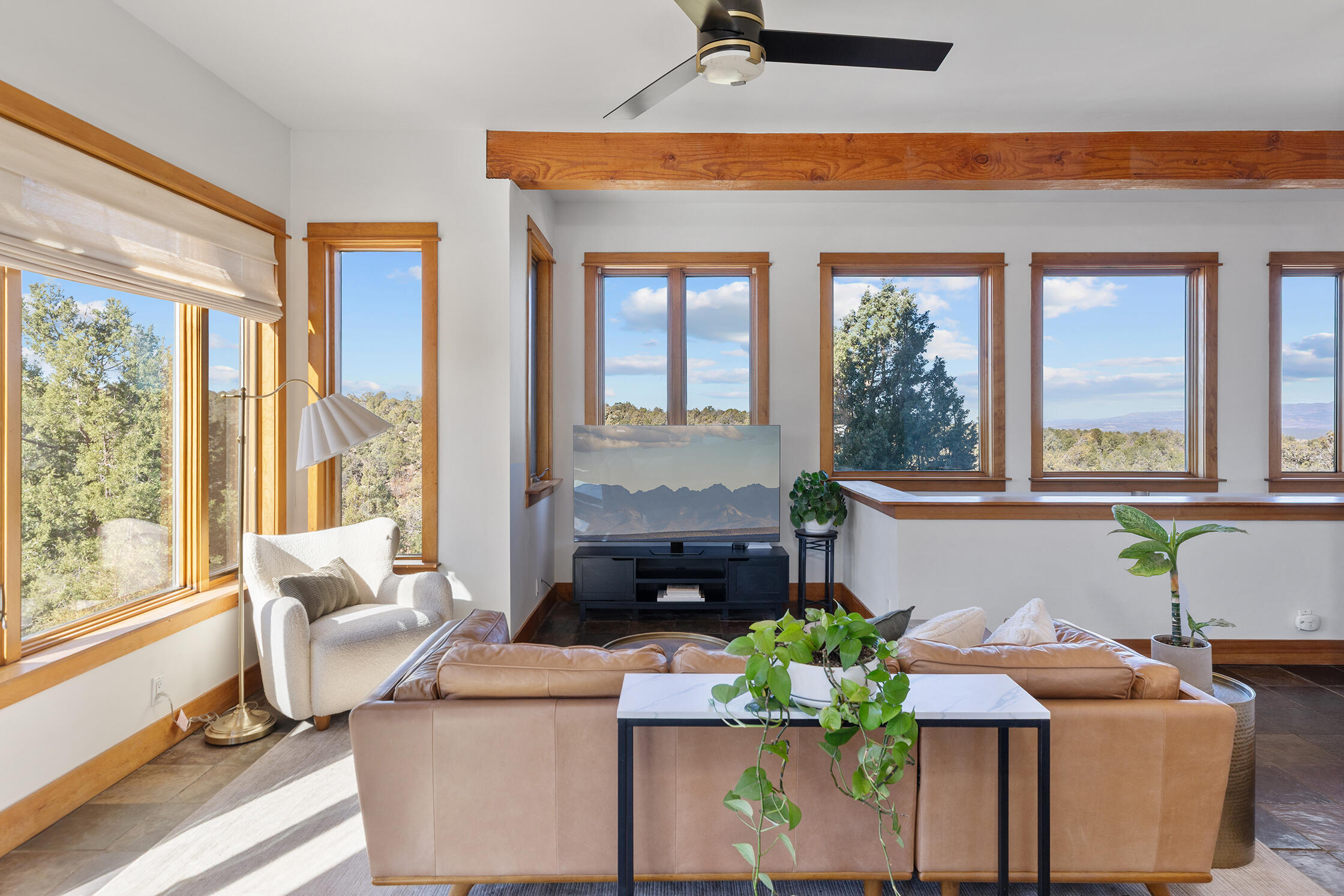2699 County Road Norwood, CO 81423 - Photo 2 of 64 a living room with furniture and a potted plant