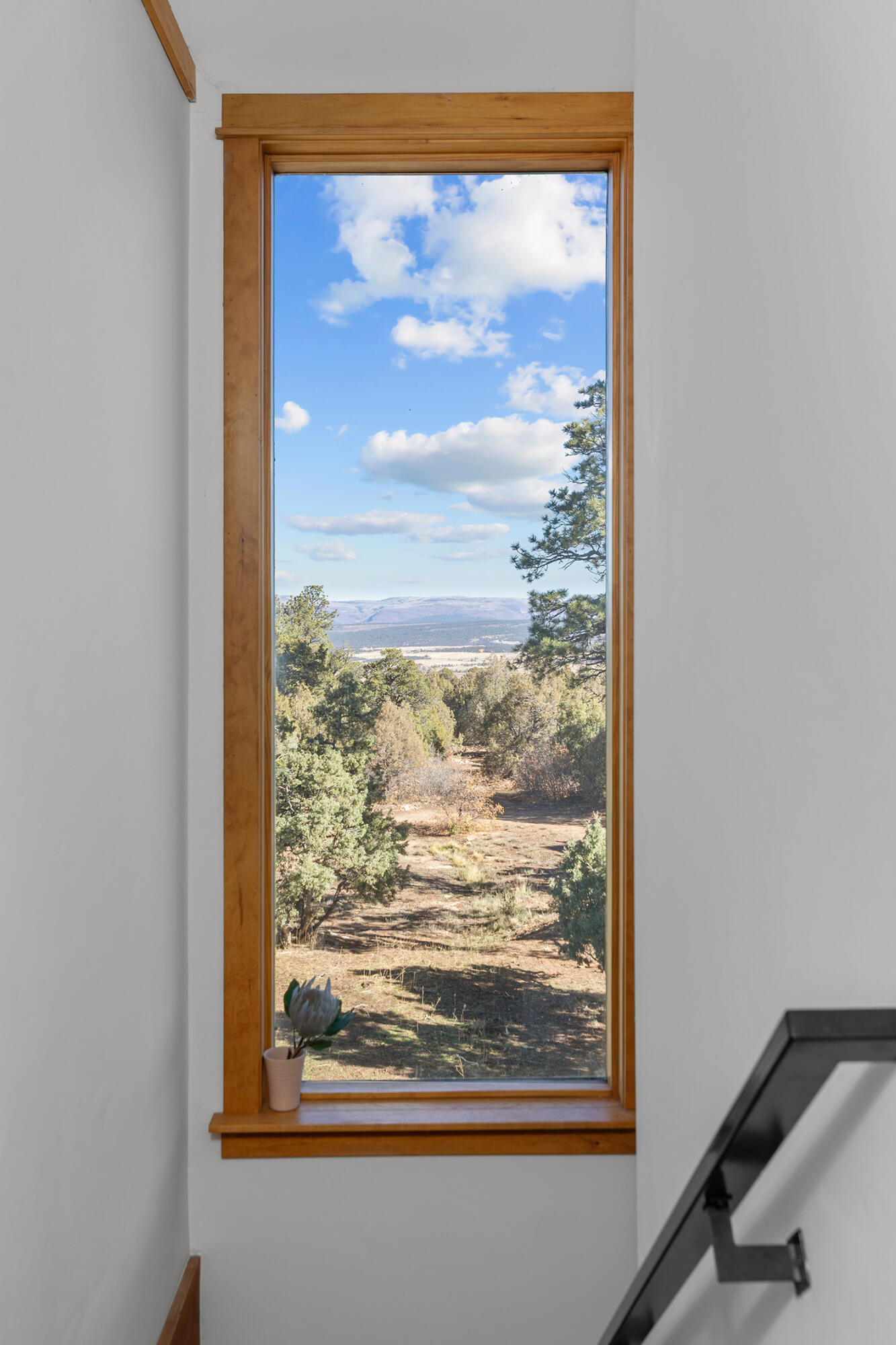 2699 County Road Norwood, CO 81423 - Photo 23 of 64 a view of a glass door with a view of the windows