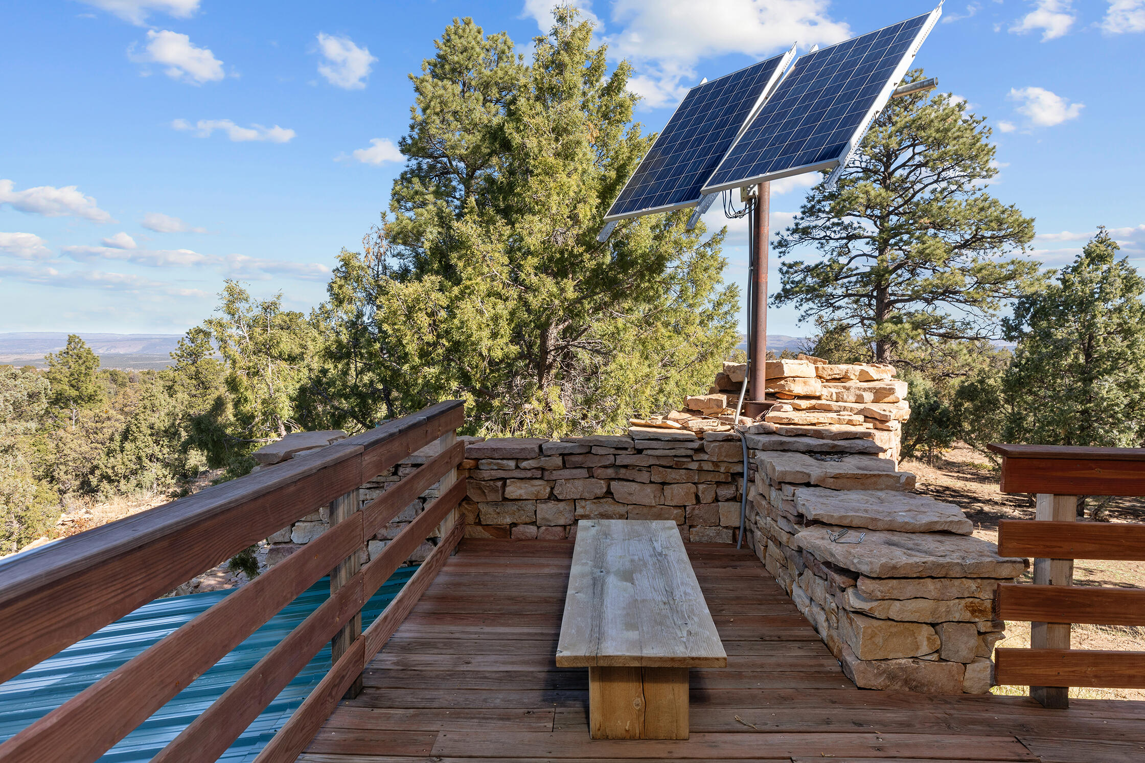 2699 County Road Norwood, CO 81423 - Photo 30 of 64 C12A3338