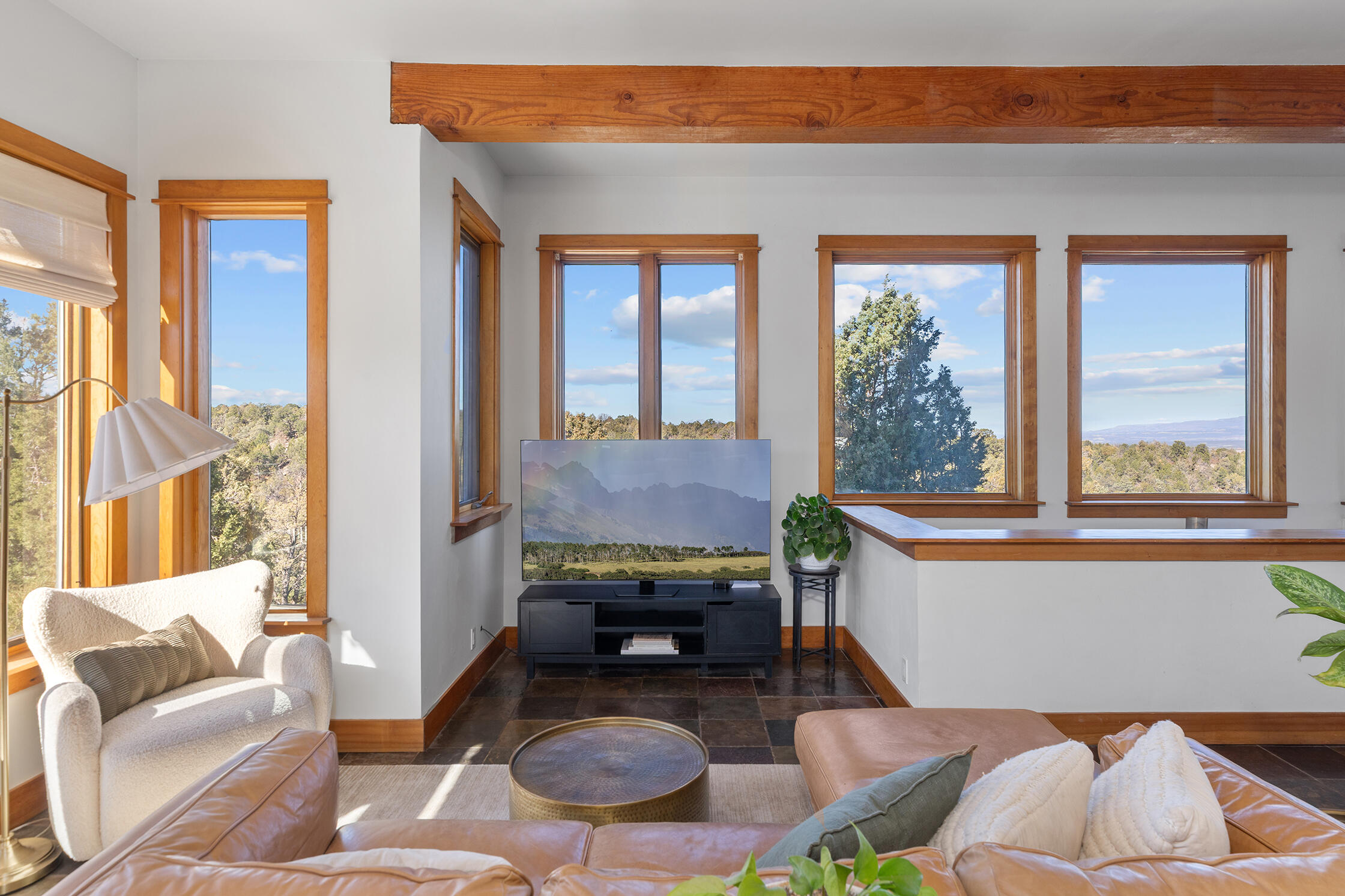2699 County Road Norwood, CO 81423 - Photo 3 of 64 a living room with furniture and a potted plant