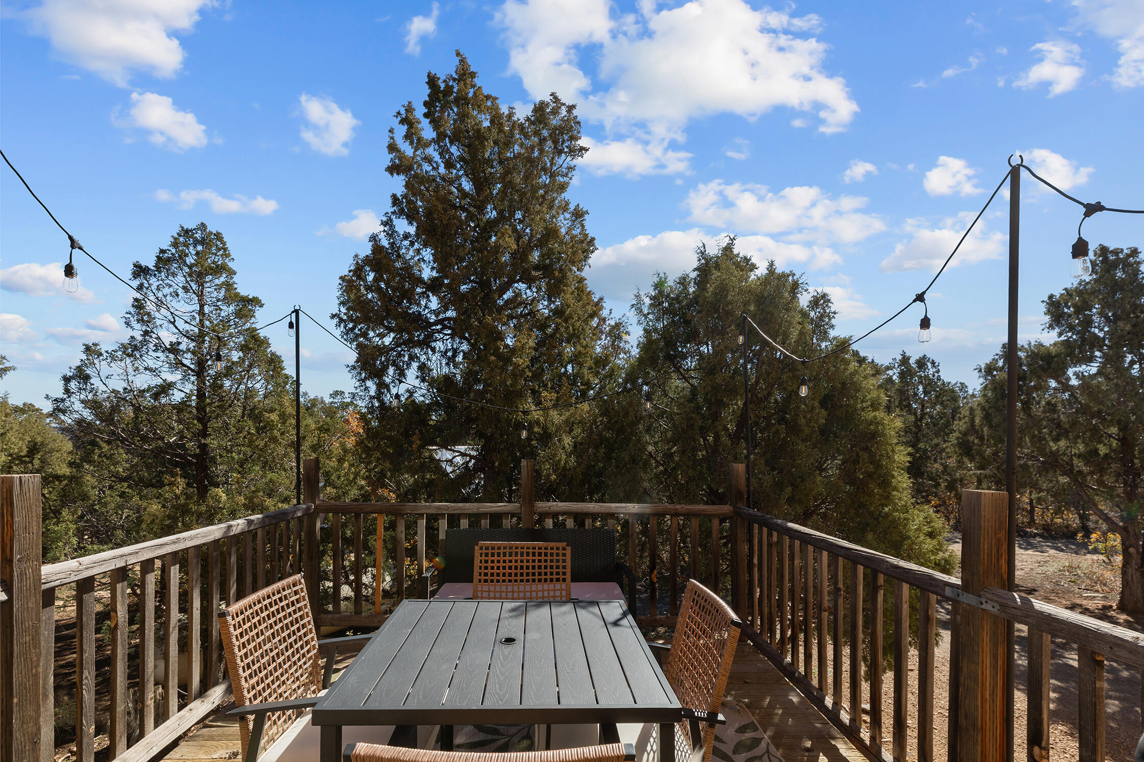 2699 County Road Norwood, CO 81423 - Photo 33 of 64 a view of deck with furniture and trees