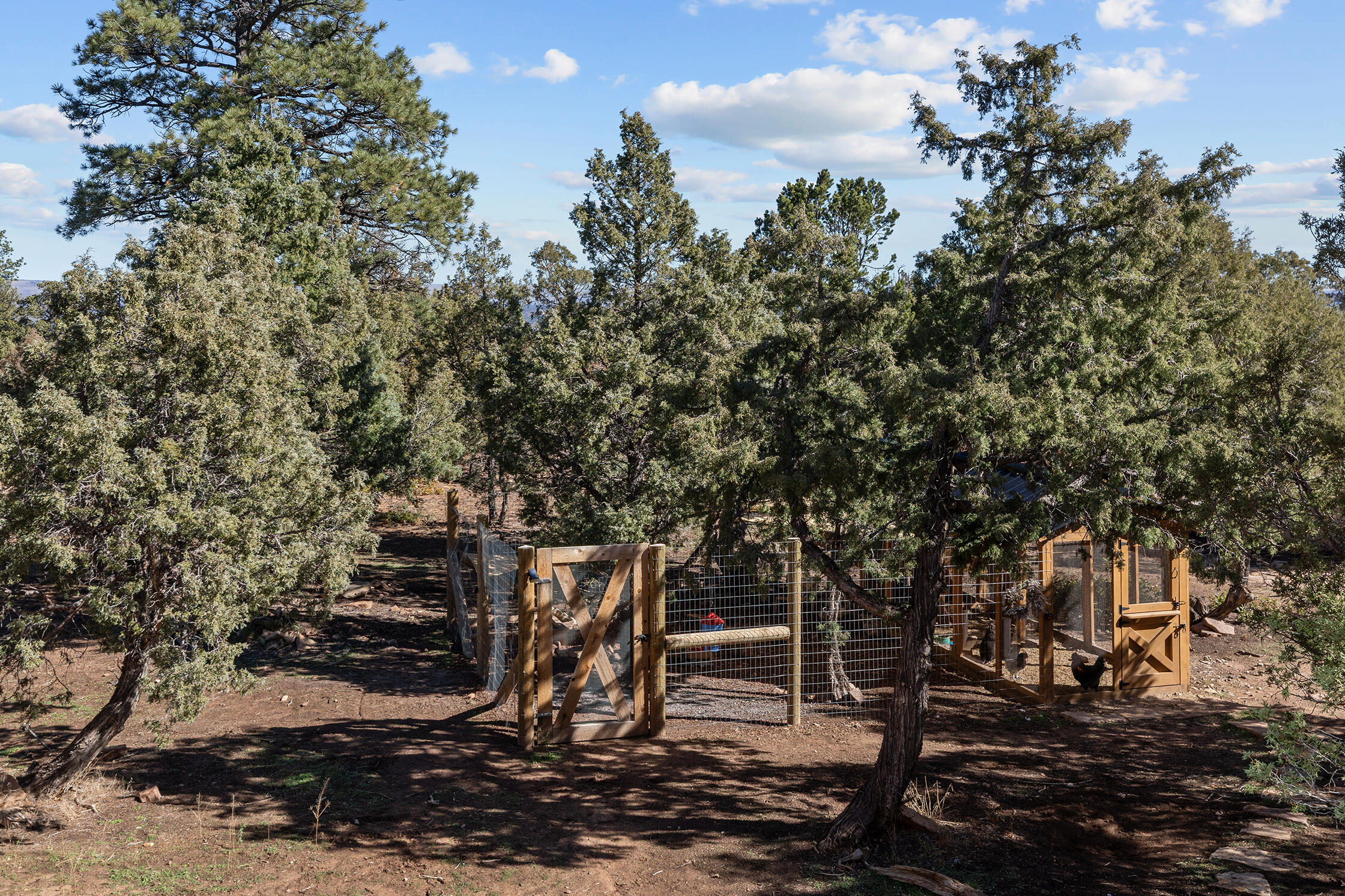 2699 County Road Norwood, CO 81423 - Photo 34 of 64 C12A3367