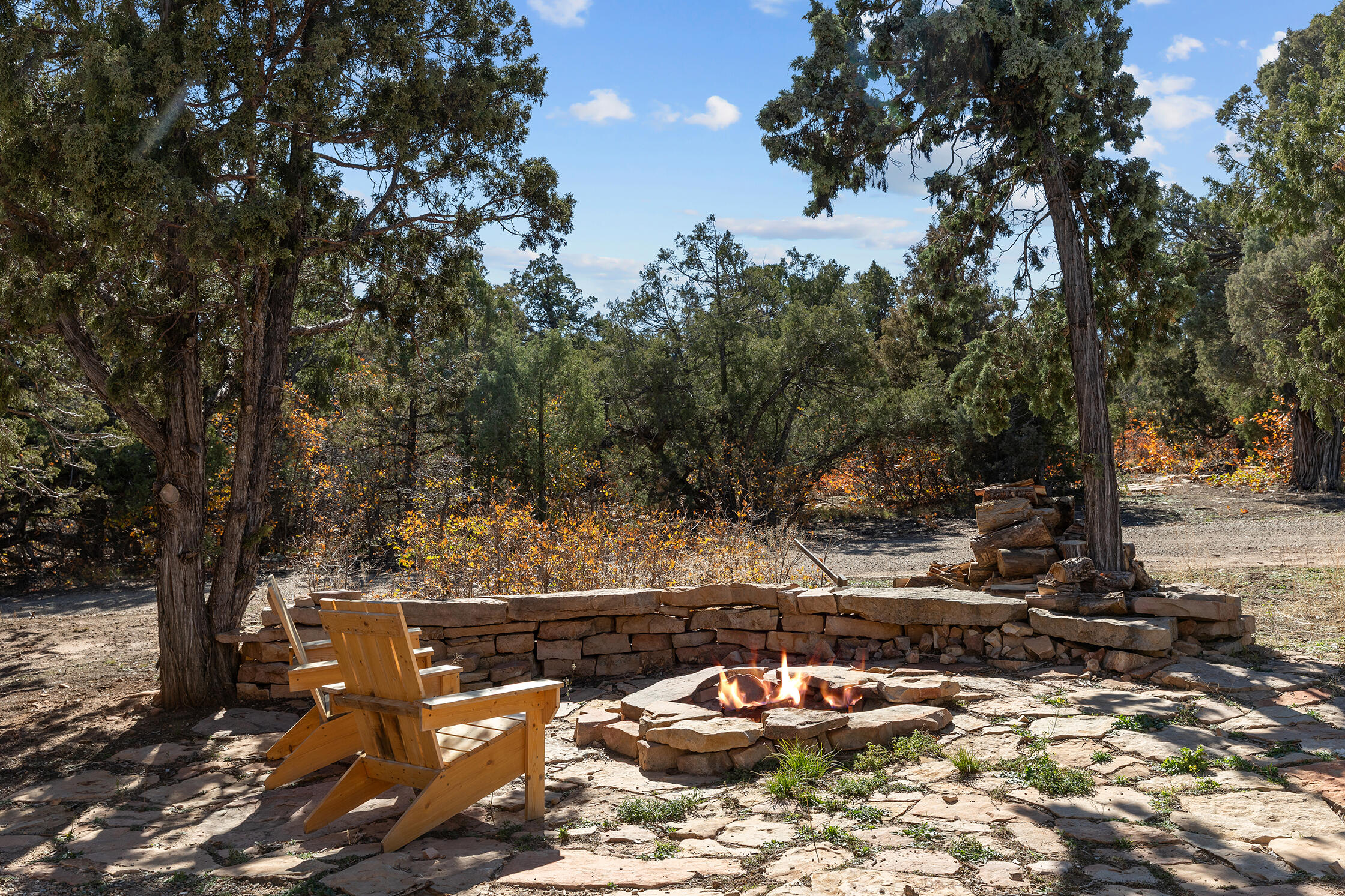 2699 County Road Norwood, CO 81423 - Photo 38 of 64 a view of a backyard with swimming pool