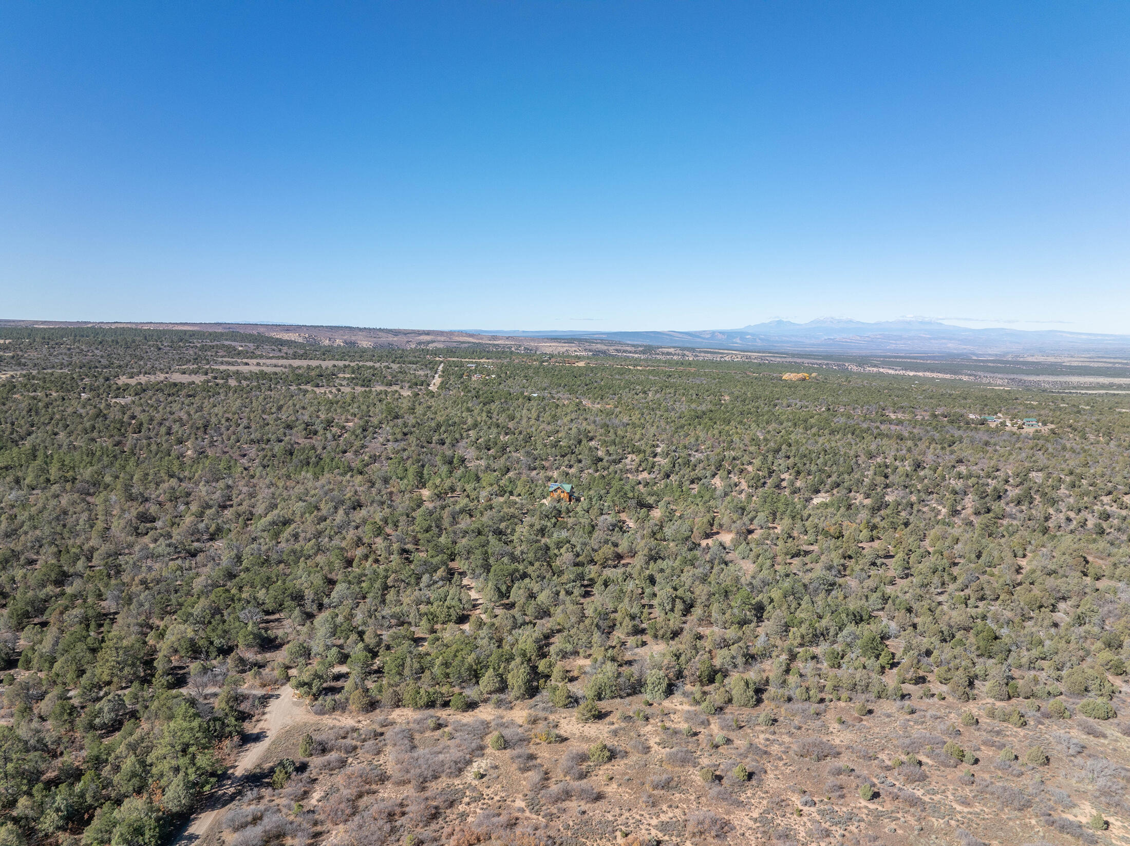 2699 County Road Norwood, CO 81423 - Photo 50 of 64 DJI_0441