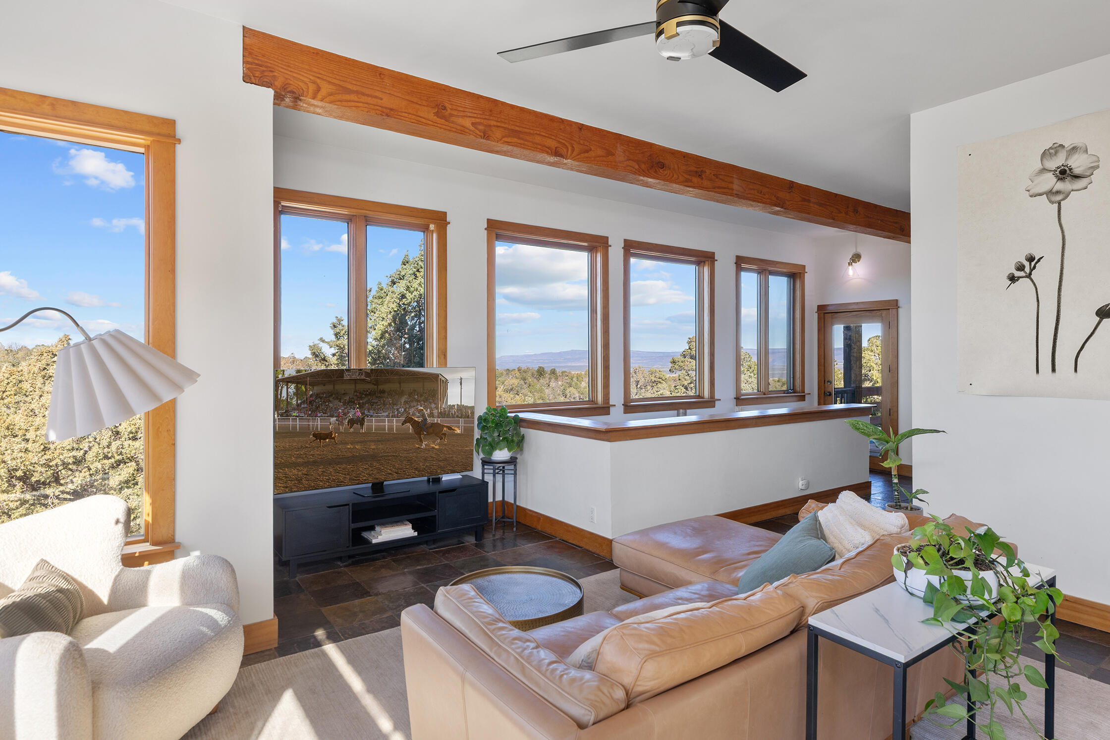 2699 County Road Norwood, CO 81423 - Photo 5 of 64 a living room with furniture and a window