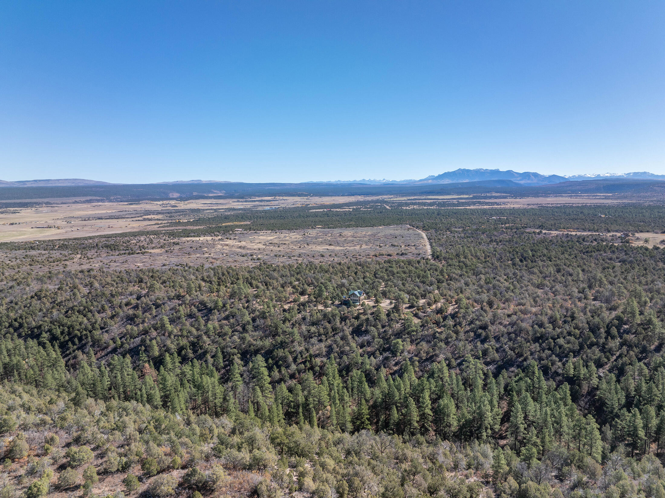 2699 County Road Norwood, CO 81423 - Photo 54 of 64 DJI_0443