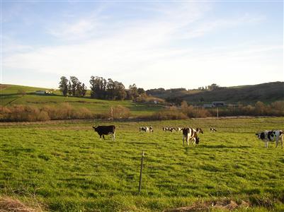3201 Canfield Road Sebastopol, CA 95472 - Photo 2 of 6 a view of a lake view