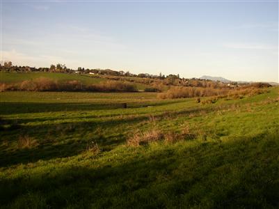 3201 Canfield Road Sebastopol, CA 95472 - Photo 4 of 6 a view of an ocean and mountain