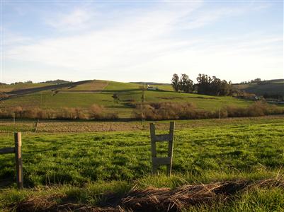 3201 Canfield Road Sebastopol, CA 95472 - Photo 5 of 6 a view of lake with mountain
