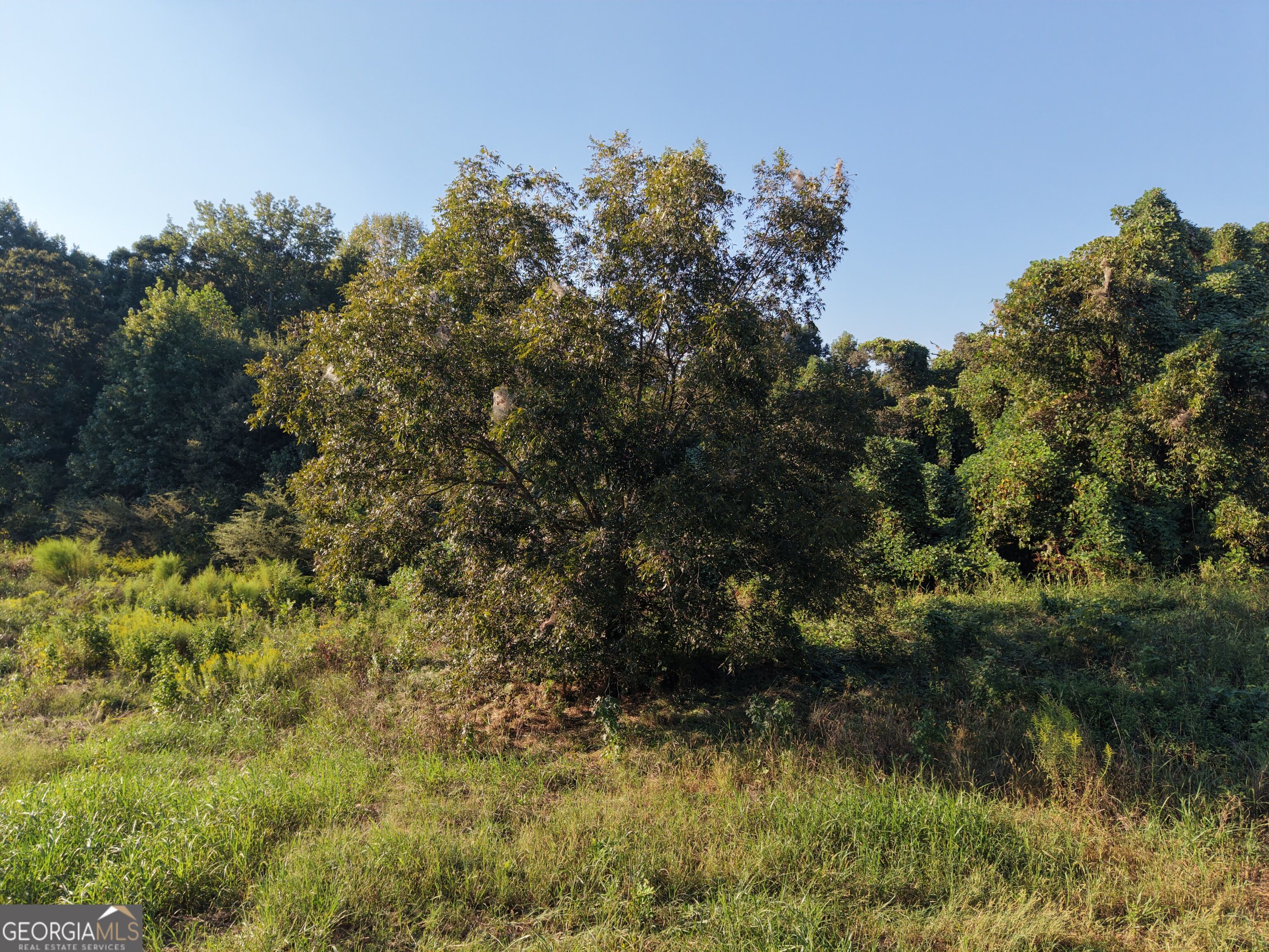 2105 Erastus Church Road Commerce, GA 30530 - Photo 32 of 41 Gallery Image 32