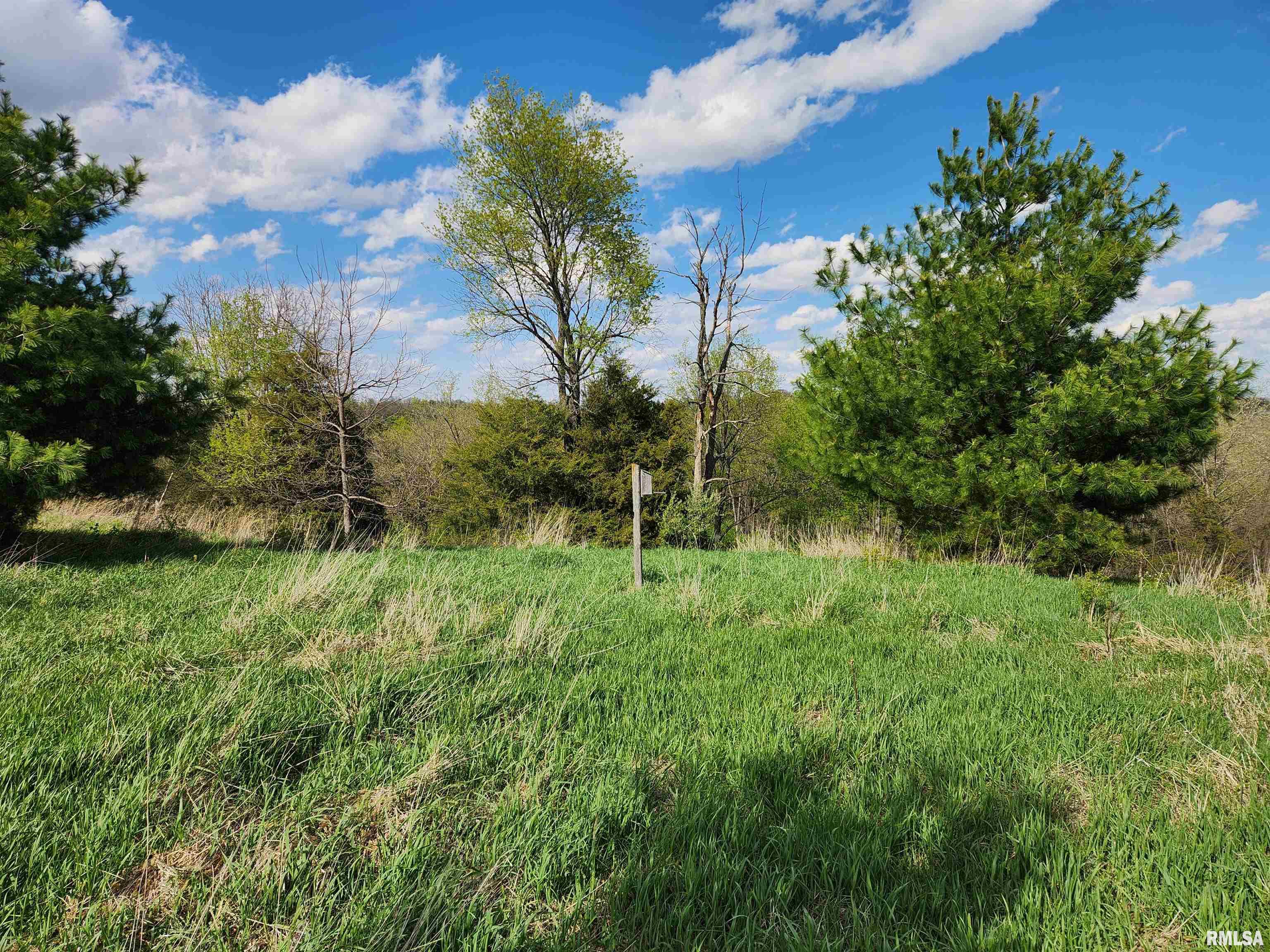 376 East Town Hall Road Metamora, IL 61548 - Photo 3 of 10