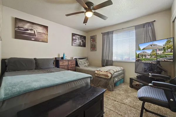 a living room with furniture and a potted plant