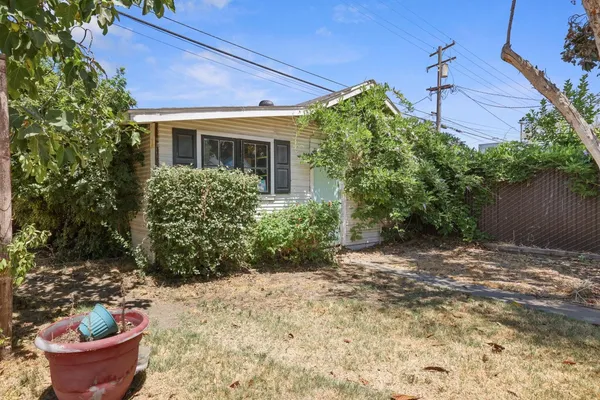 a view of a backyard with plants and plants