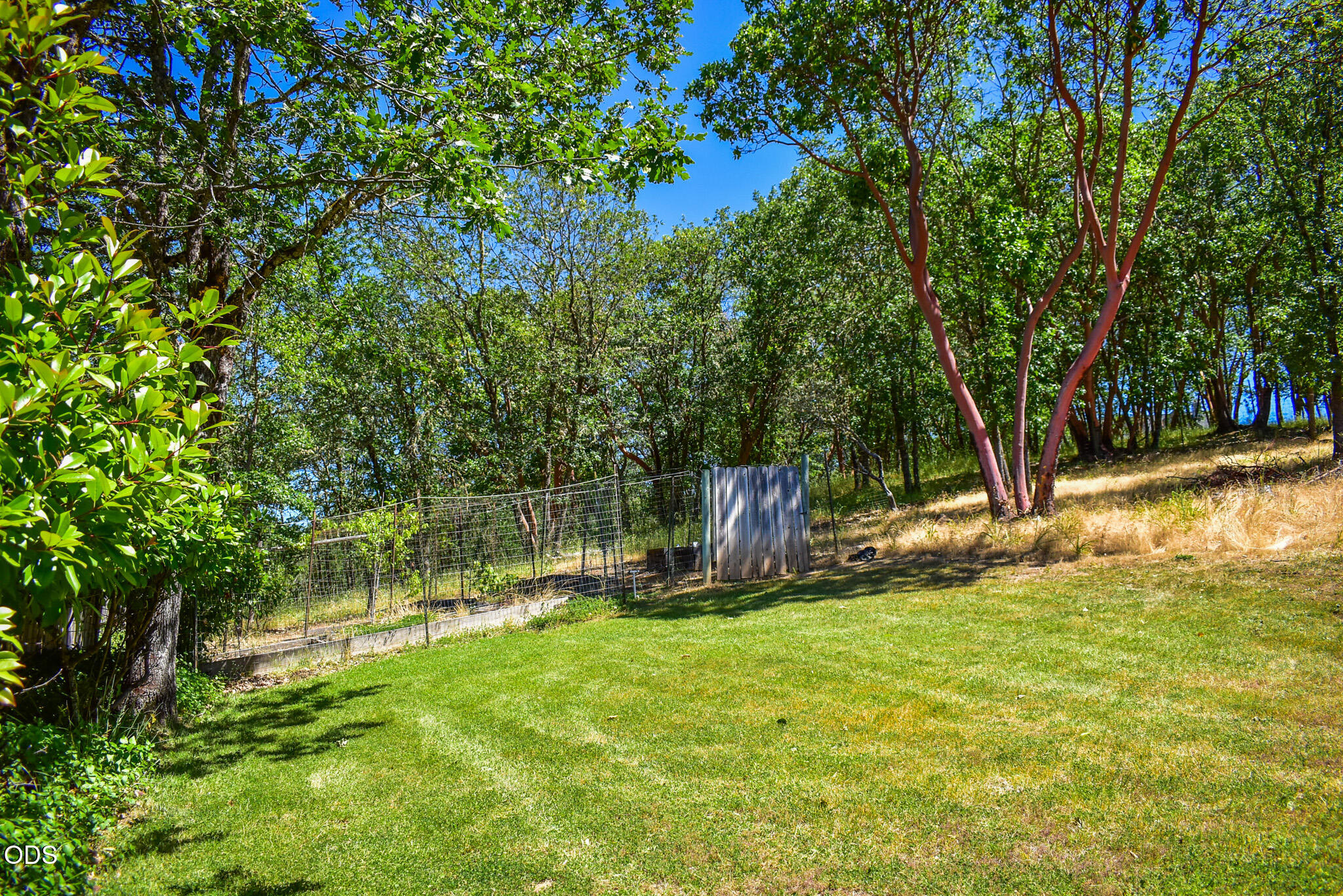 799 Three Pines Road Grants Pass, OR 97526 - Photo 19 of 40