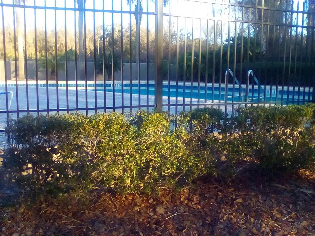 4824 Northwest 80th Road Gainesville, FL 32653 - Photo 3 of 15 a view of a garden with a plant