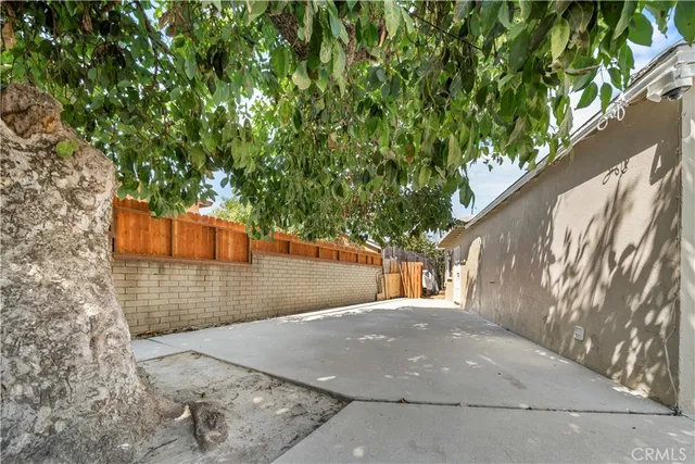 a view of a yard with a tree