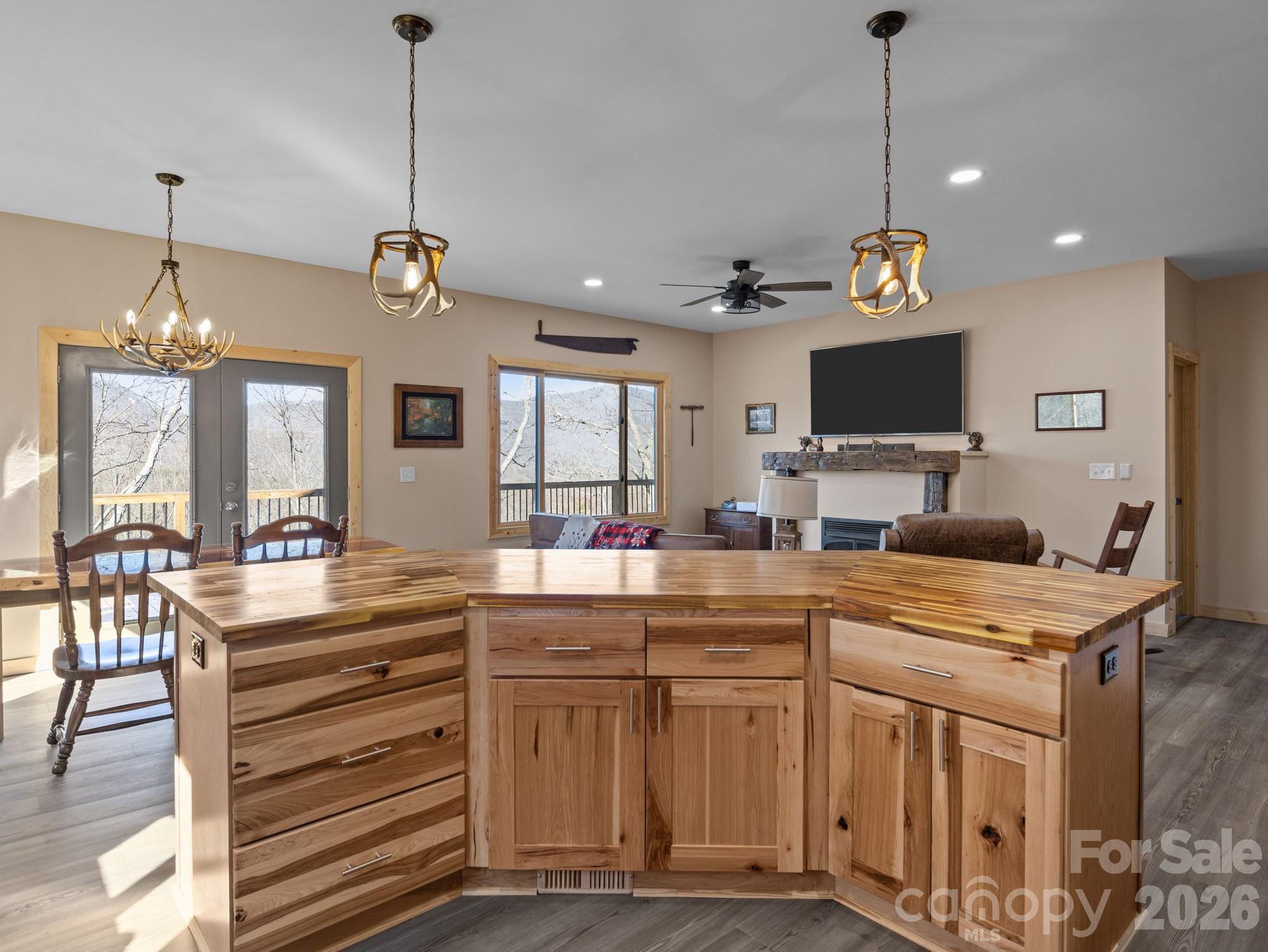 225 Aurora Lane Tryon, NC 28782 - Photo 12 of 37