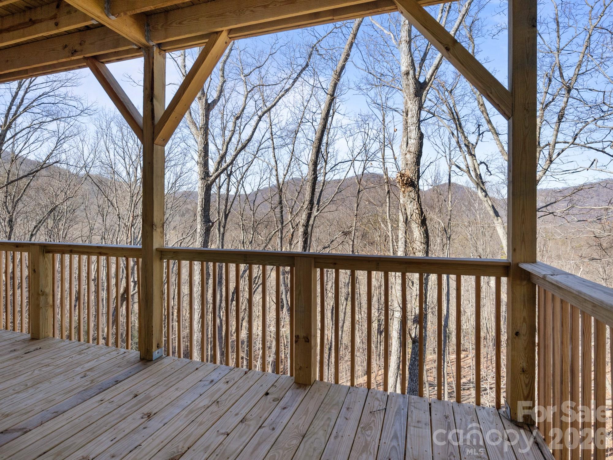 225 Aurora Lane Tryon, NC 28782 - Photo 34 of 37