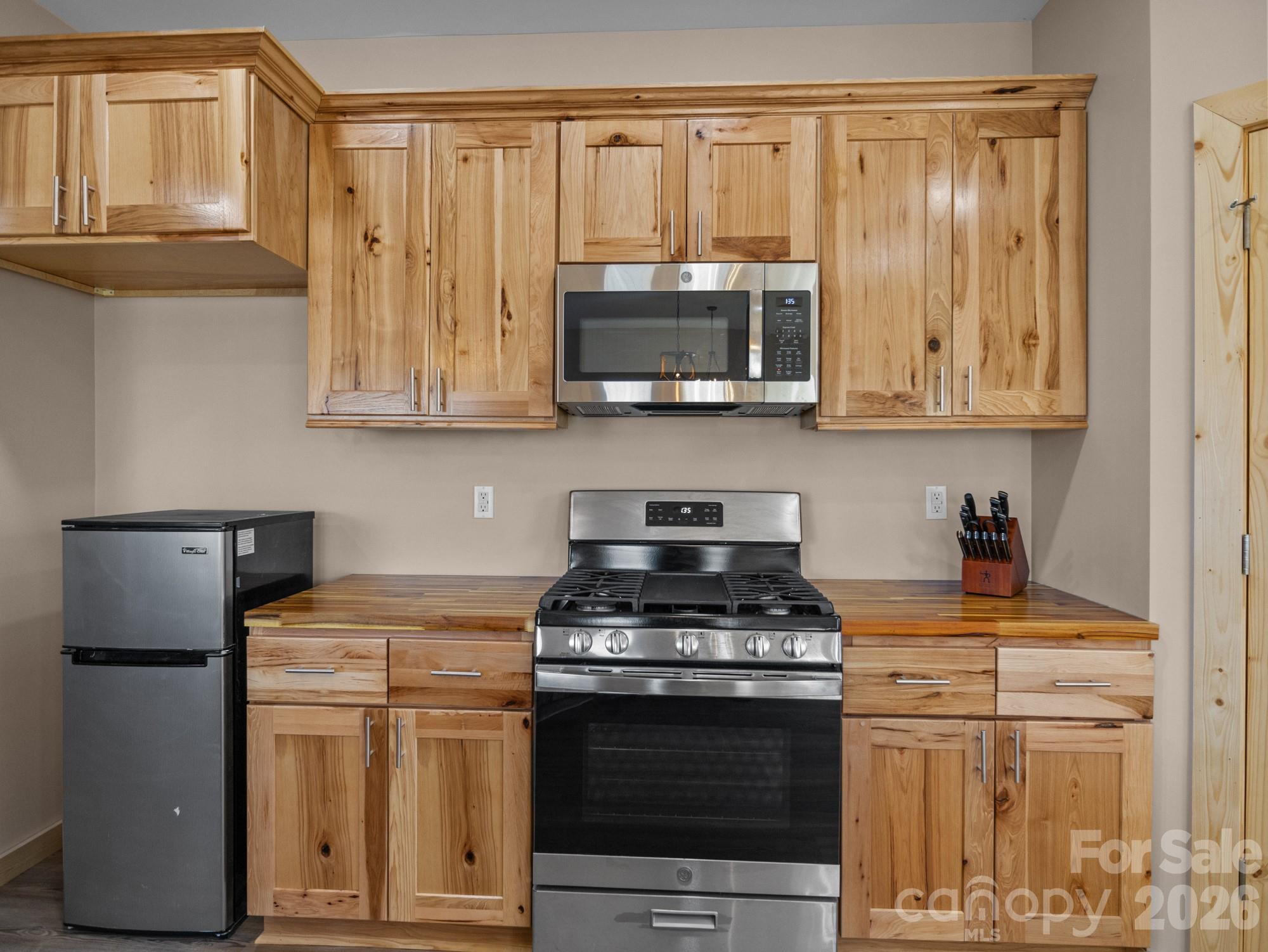 225 Aurora Lane Tryon, NC 28782 - Photo 10 of 37