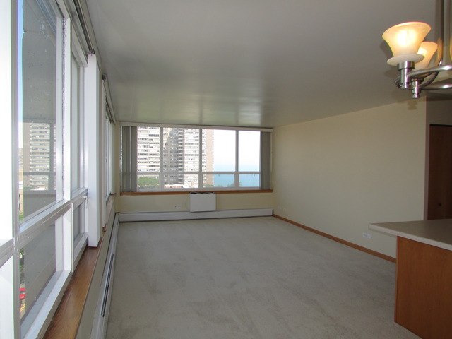 6171 North Sheridan Road, Unit 1001 Chicago, IL 60660 - Photo 3 of 12