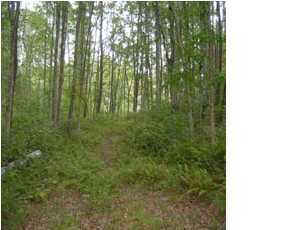 22 Myers Loop Road Pikeville, TN 37367 - Photo 1 of 8 Primary Photo