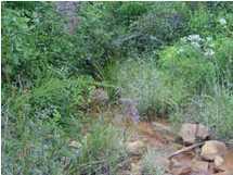 22 Myers Loop Road Pikeville, TN 37367 - Photo 2 of 8 Additional Photo