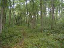 22 Myers Loop Road Pikeville, TN 37367 - Photo 3 of 8 Additional Photo