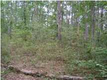 22 Myers Loop Road Pikeville, TN 37367 - Photo 6 of 8 Additional Photo
