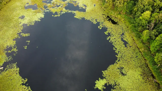 $537,000 | 44702 B 56th Avenue, Paw Paw, MI 49079