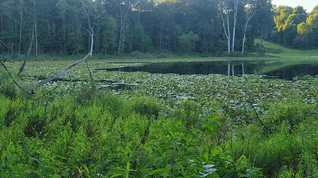 $537,000 | 44702 B 56th Avenue, Paw Paw, MI 49079