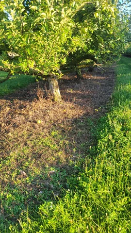 $537,000 | 44702 B 56th Avenue, Paw Paw, MI 49079