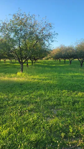 $537,000 | 44702 B 56th Avenue, Paw Paw, MI 49079