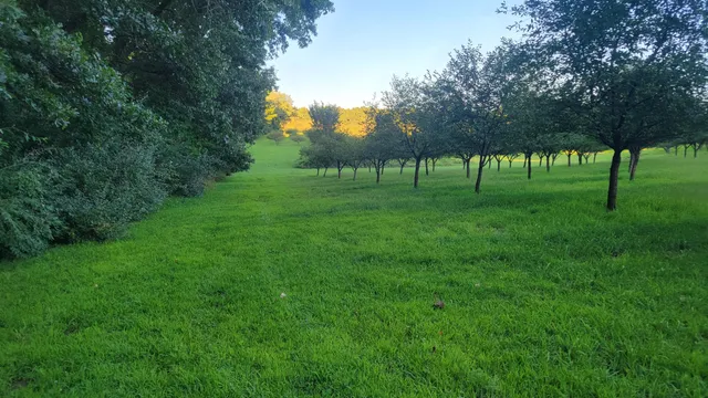 $537,000 | 44702 B 56th Avenue, Paw Paw, MI 49079