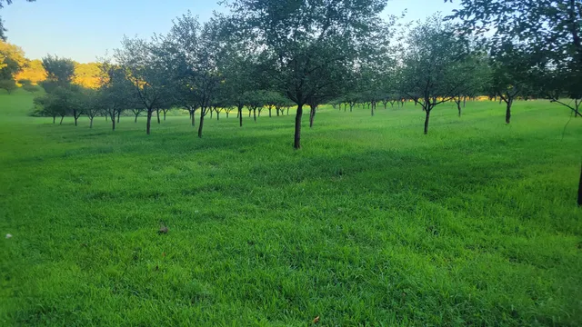 $537,000 | 44702 B 56th Avenue, Paw Paw, MI 49079