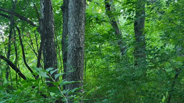 $537,000 | 44702 B 56th Avenue, Paw Paw, MI 49079