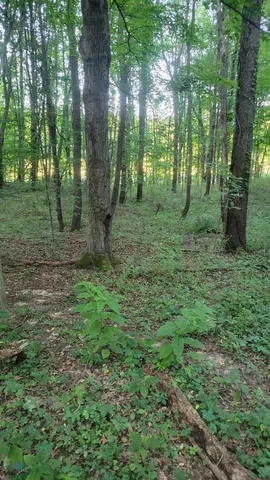 $537,000 | 44702 B 56th Avenue, Paw Paw, MI 49079